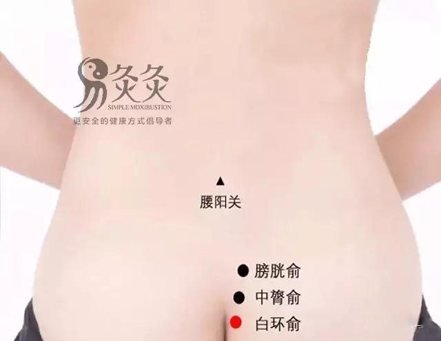 白环俞穴：属足太阳膀胱经；主治：白带 月经不调 腰腿痛